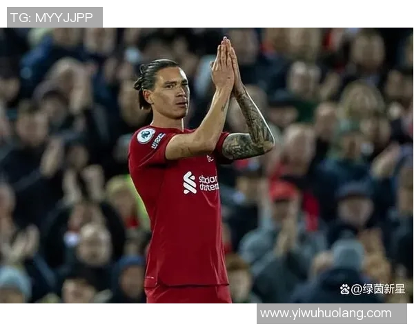 努涅斯在赛场上的崛起与挑战解析足球新星的成长之路